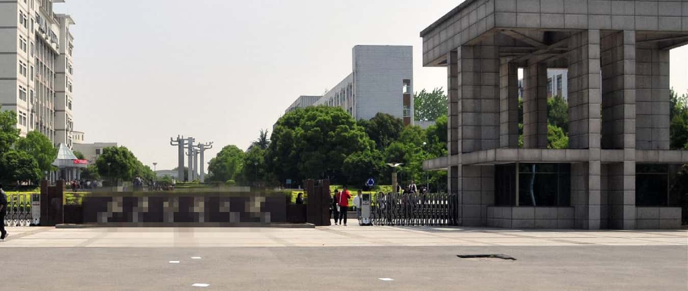 �_��͑��Ĺ��S