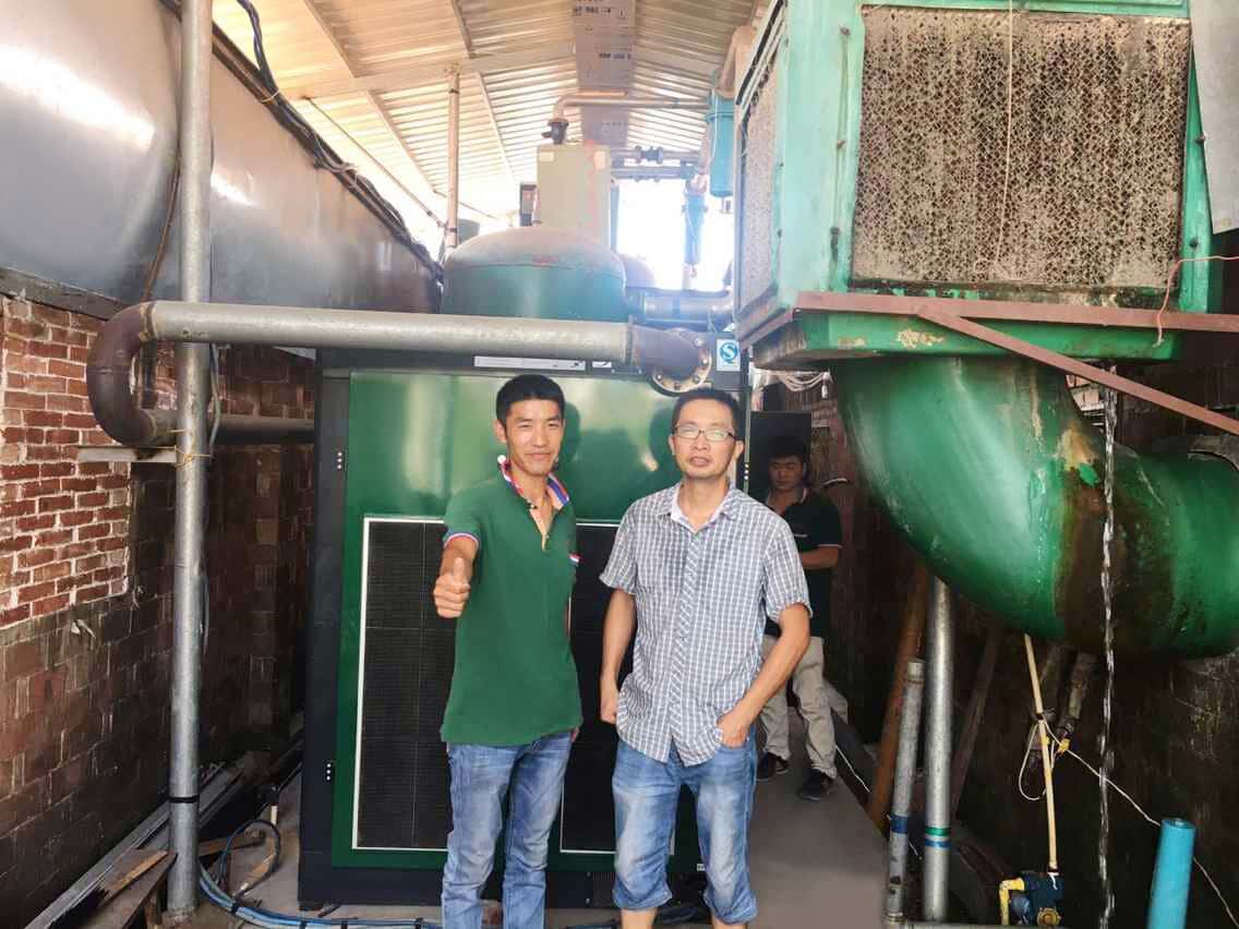 �_���T�����͑�